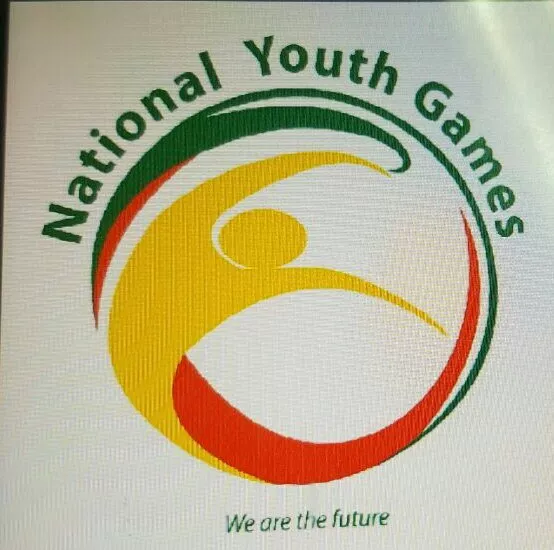 Nigeria: Handball Federation Restructure Term