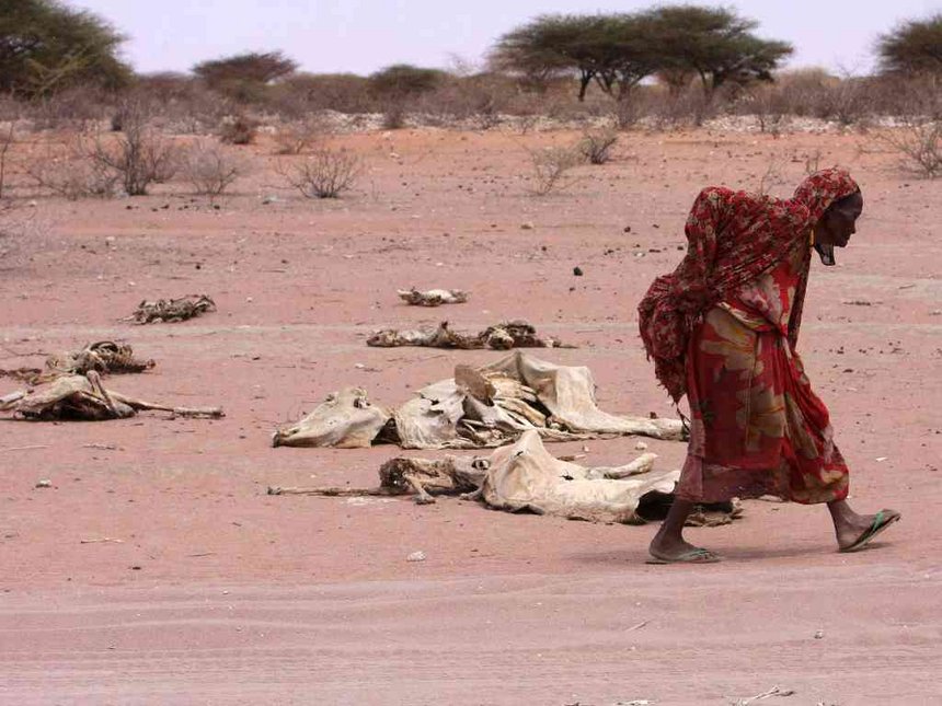 Kenya Gets Sh3.3bn Donation to Curb Drought