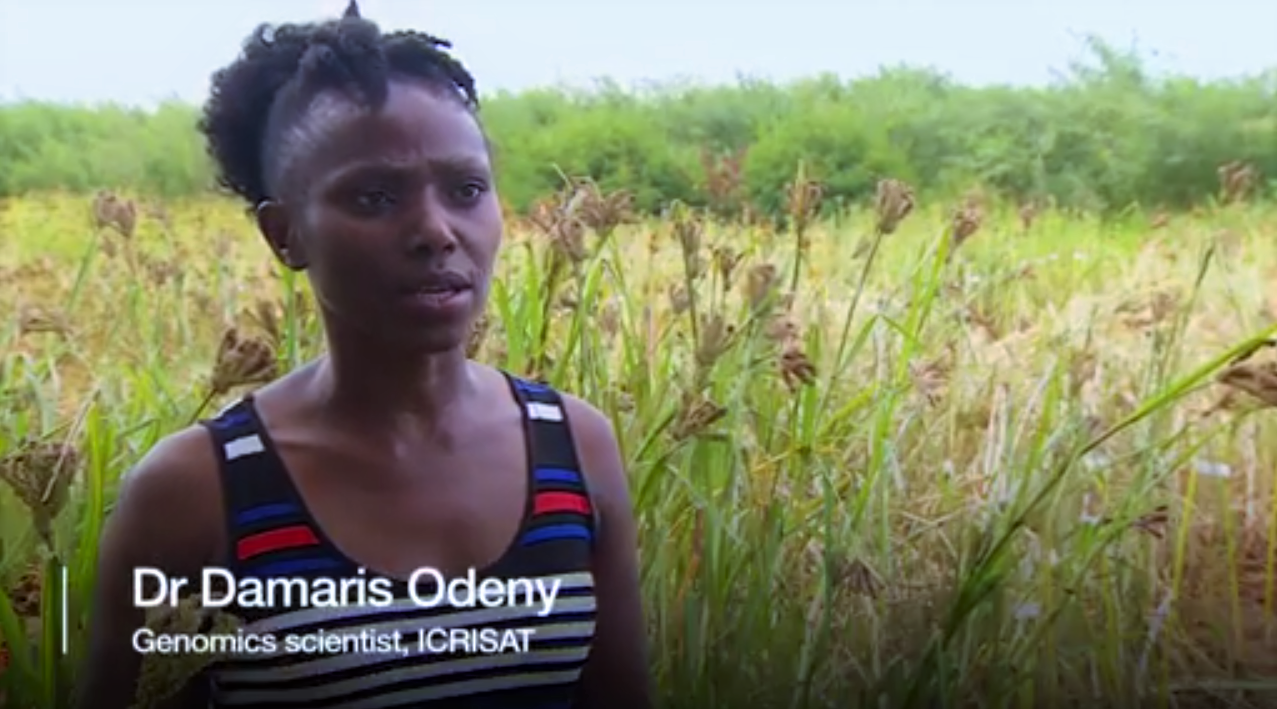 Kenyan Scientists Move to Feed Africa