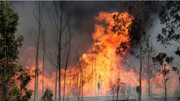 Portugal Battle Fire Outbreaks Amid Weather Changes