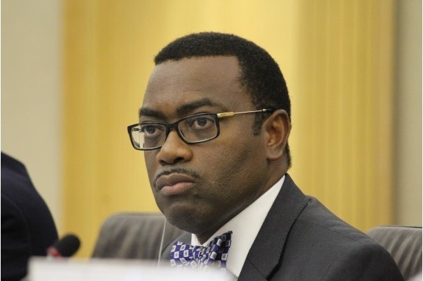 AFDB President Provides Solution to Accelerate Development in Niger