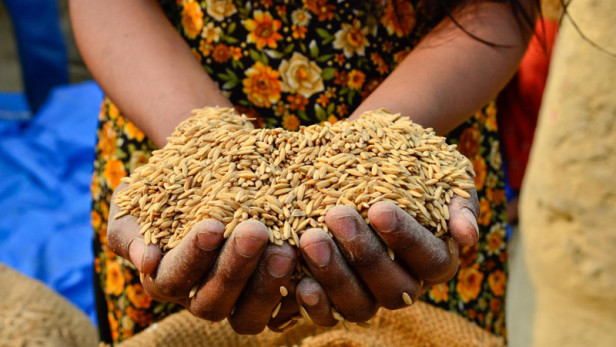 Mozambique: AFAP Organizes Food Security Talk for 28 African Countries