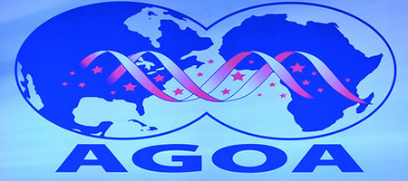 Nigeria Holds Potential to Generate 4 Million Jobs Annually Through AGOA
