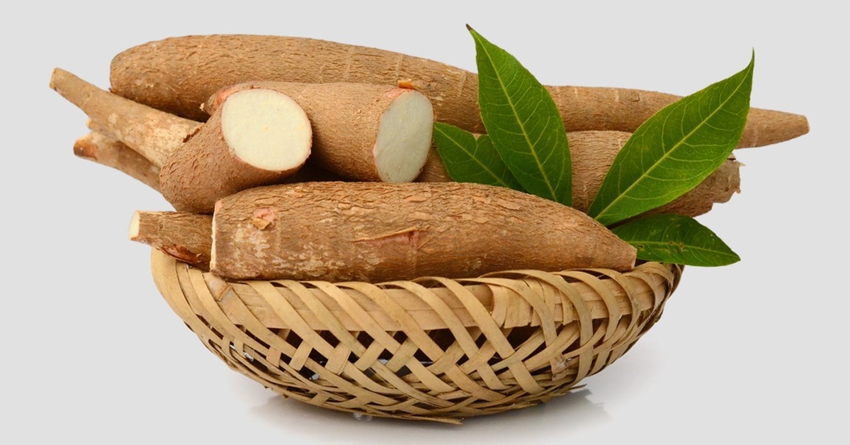 #AfDB Organizes Cassava Processing Training for African Youth