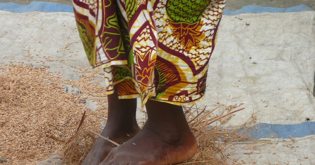 Liberia: WTP Donates Rice Thresher to Female Farmers