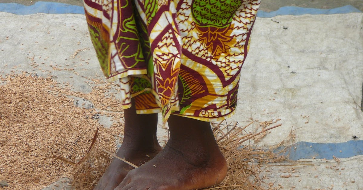 Liberia: WTP Donates Rice Thresher to Female Farmers