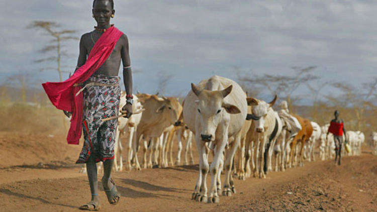 ACDI/VOCA to Transform Kenya’s Livestock Sector