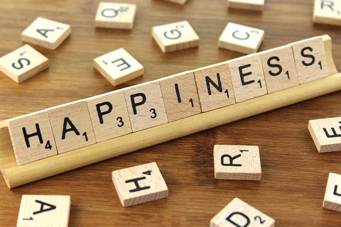 Happiness: Our pursuit of it