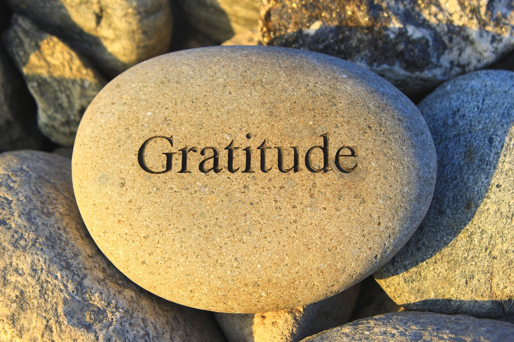 Top 15 Quotes on Gratitude