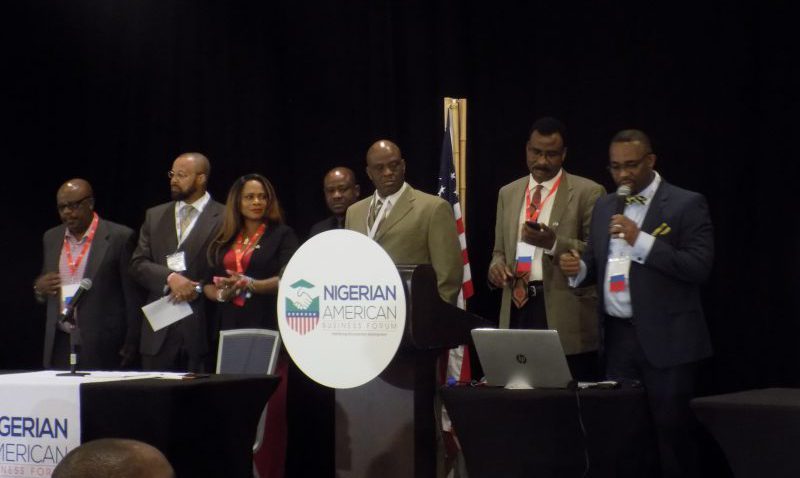 “We’re Eager to Come Home and Invest’ – Nigerians in Diaspora