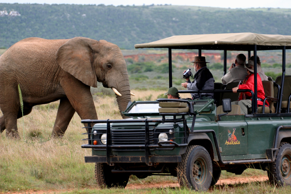 Harnessing the Power of Tourism in Africa