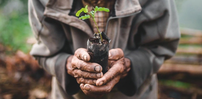 Kenya Kick-Starts National Tree Planting Campaign