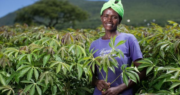 European Union Targets to Improve Women in Agribusiness in Kenya