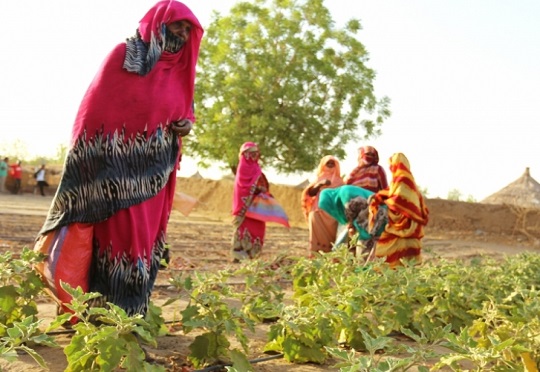 IFAD, Sudan Sign Host Country Agreement to Promote Agriculture