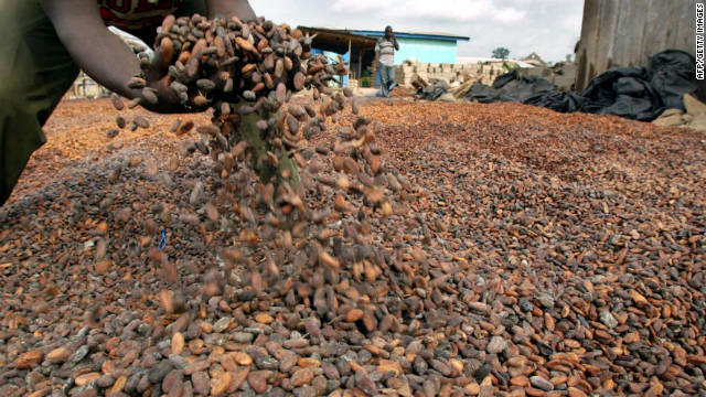 Ivory Coast to auction cocoa crop in advance to guarantee price for season