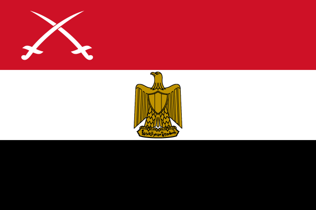 Egypt introduces improved financial reporting system for agencies