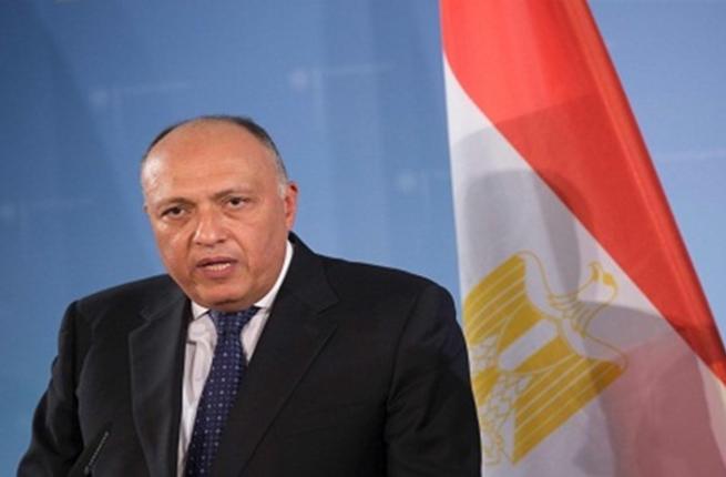 Sisi’s upcoming visit to Russia will open up new horizons, Egypt’s FM says