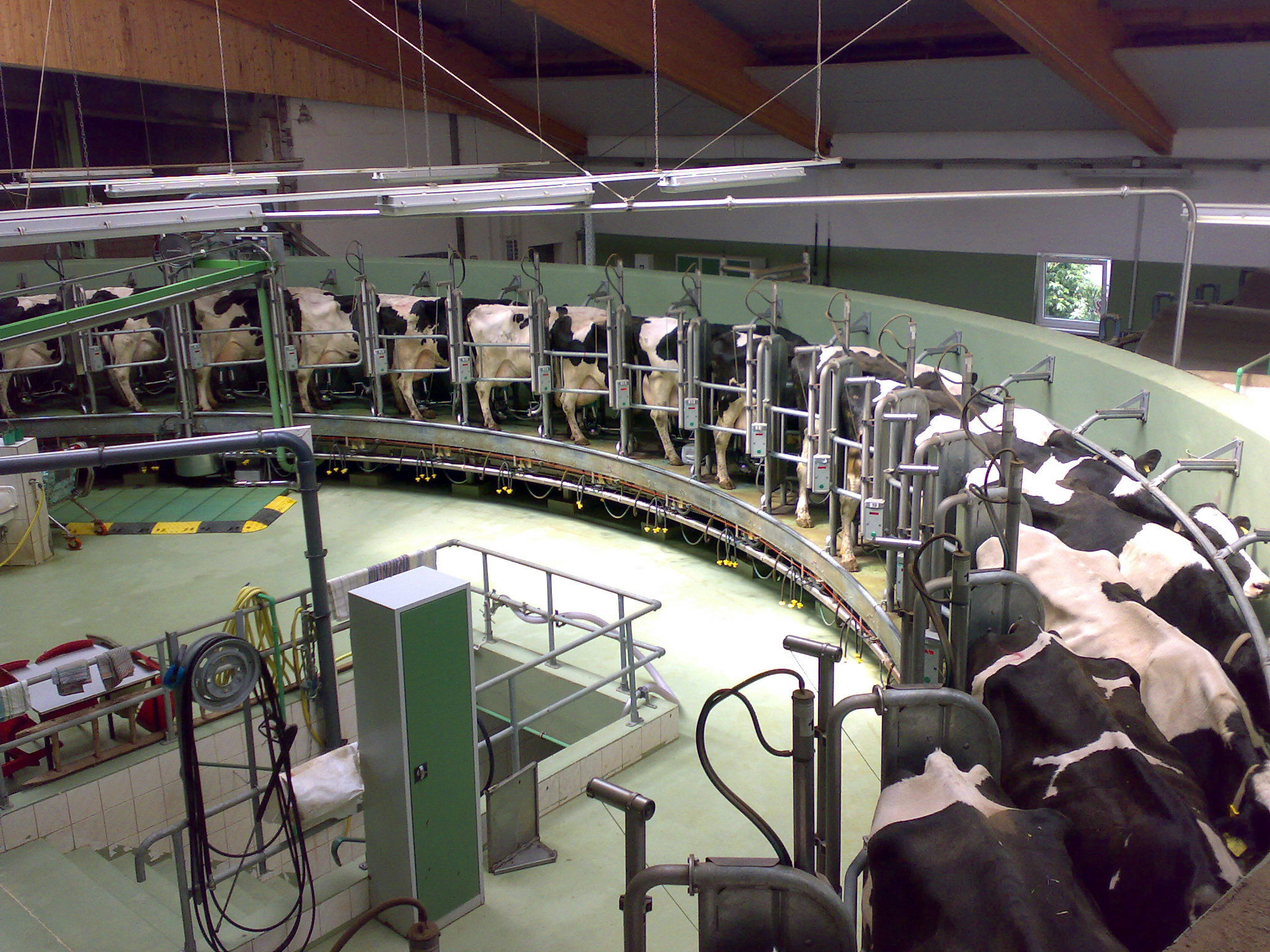 Firm Invests 300bn in Dairy Market