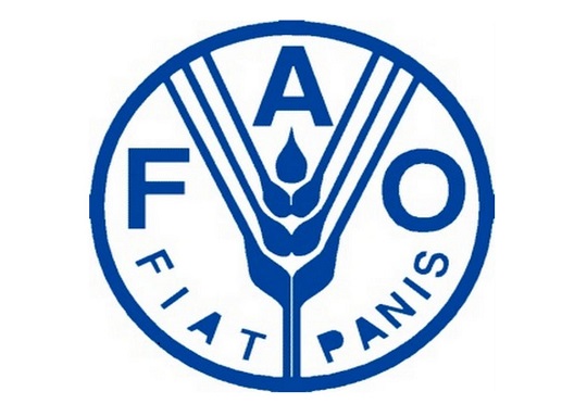 Gender Gaps in Agriculture Hinders Progress – FAO
