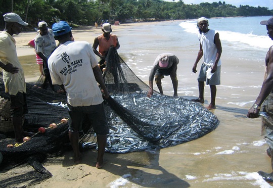 Collaboration key for development of SADC’s blue economy, ECA