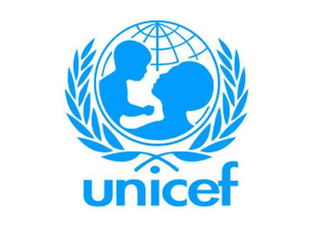 UNICEF, expands, scopes public finance in Nigeria
