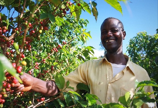 Nestlé renews commitment to Kenyan coffee farmers through training