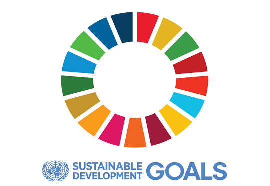 20 organizations unveil drive to actualize gender equality and SDGs