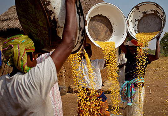 Esoko empowers farmers communication, bolstering markets