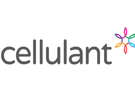 Cellulant to build a single payments API for Africa’s fintech companies