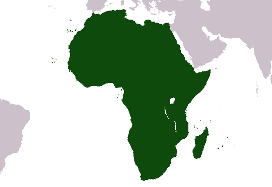 Africa Needs 12 Million New Jobs Yearly to Stop Rising Unemployment