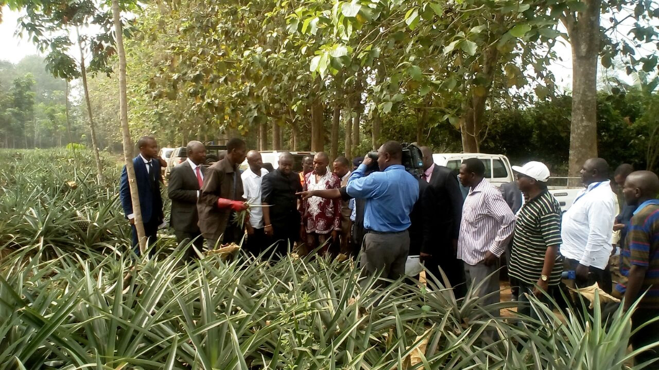 Cameroon Farmers, Agropole, Spice Up Earnings With Forest-friendly Foods