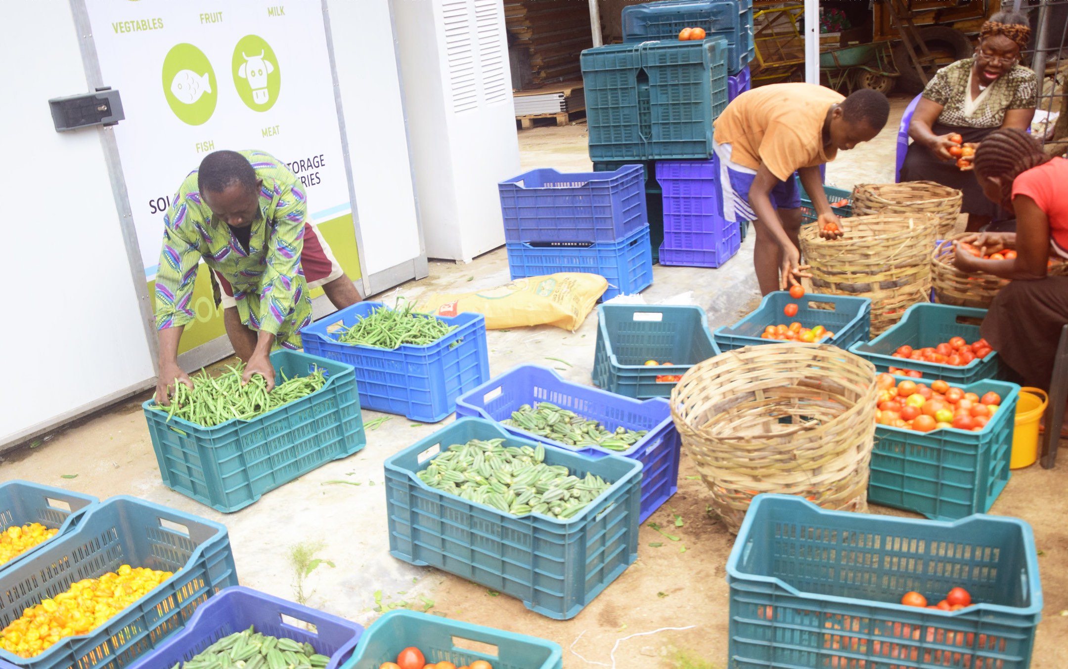 Nigerian Startup Fights Food Wastage