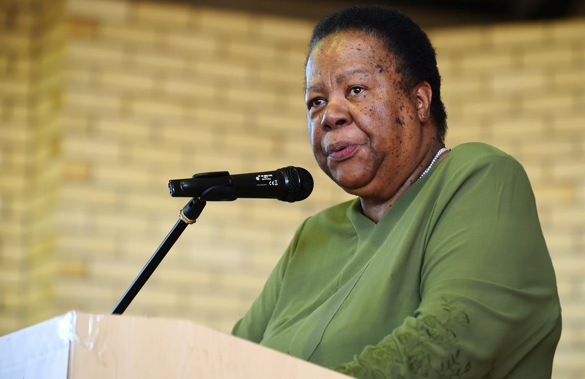 SA Minister Advocates For AfCFTA