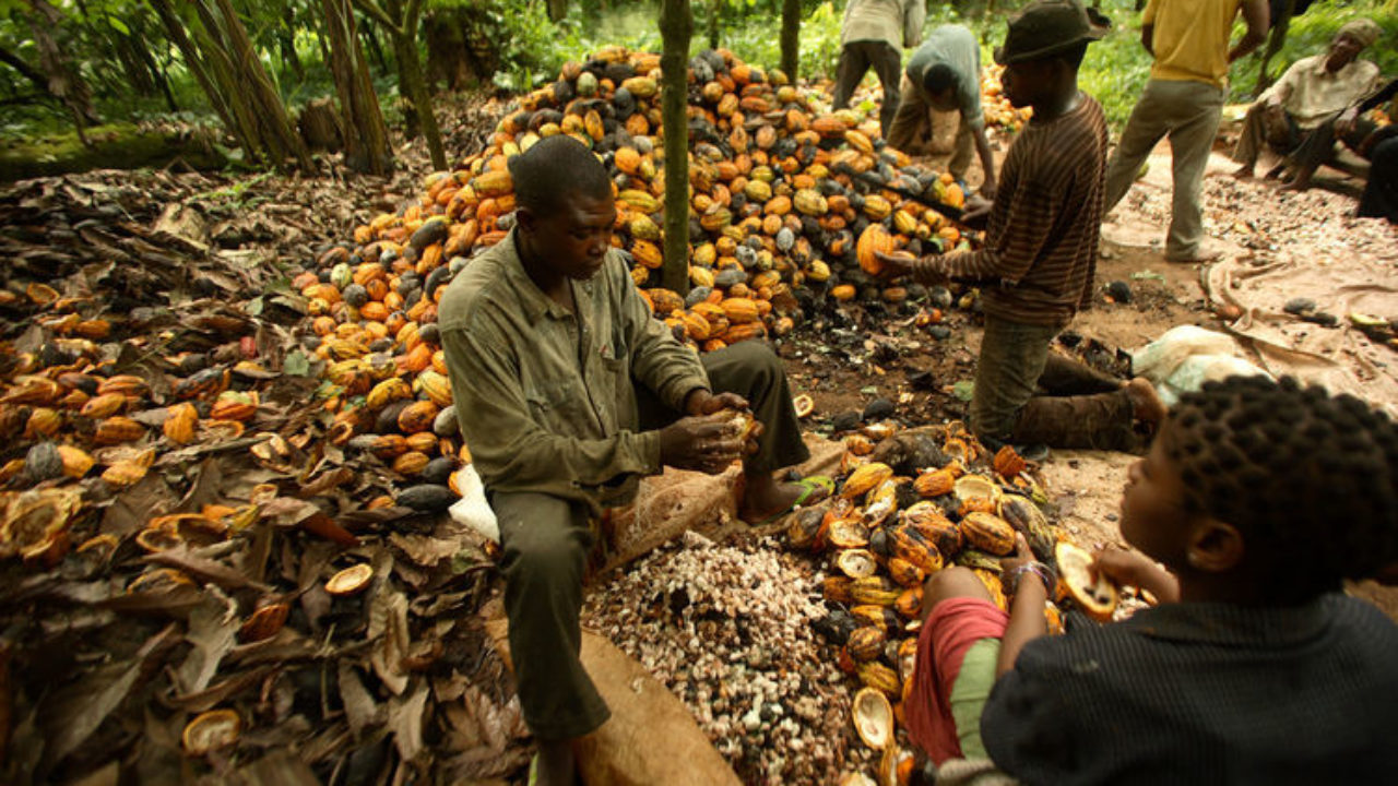 Ghana Raises Cocoa Price by 5.2%