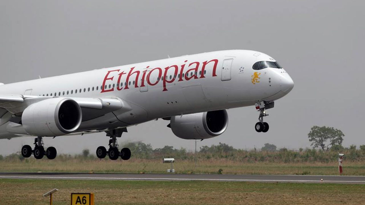 Ethiopian Airlines Flight Makes Emergency Landing With No Casualties
