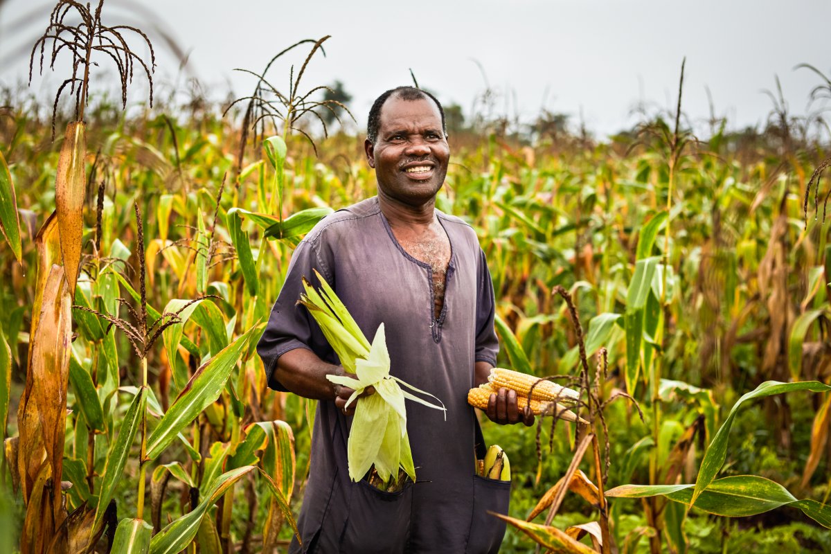 Zambia, Congo to Export Maize