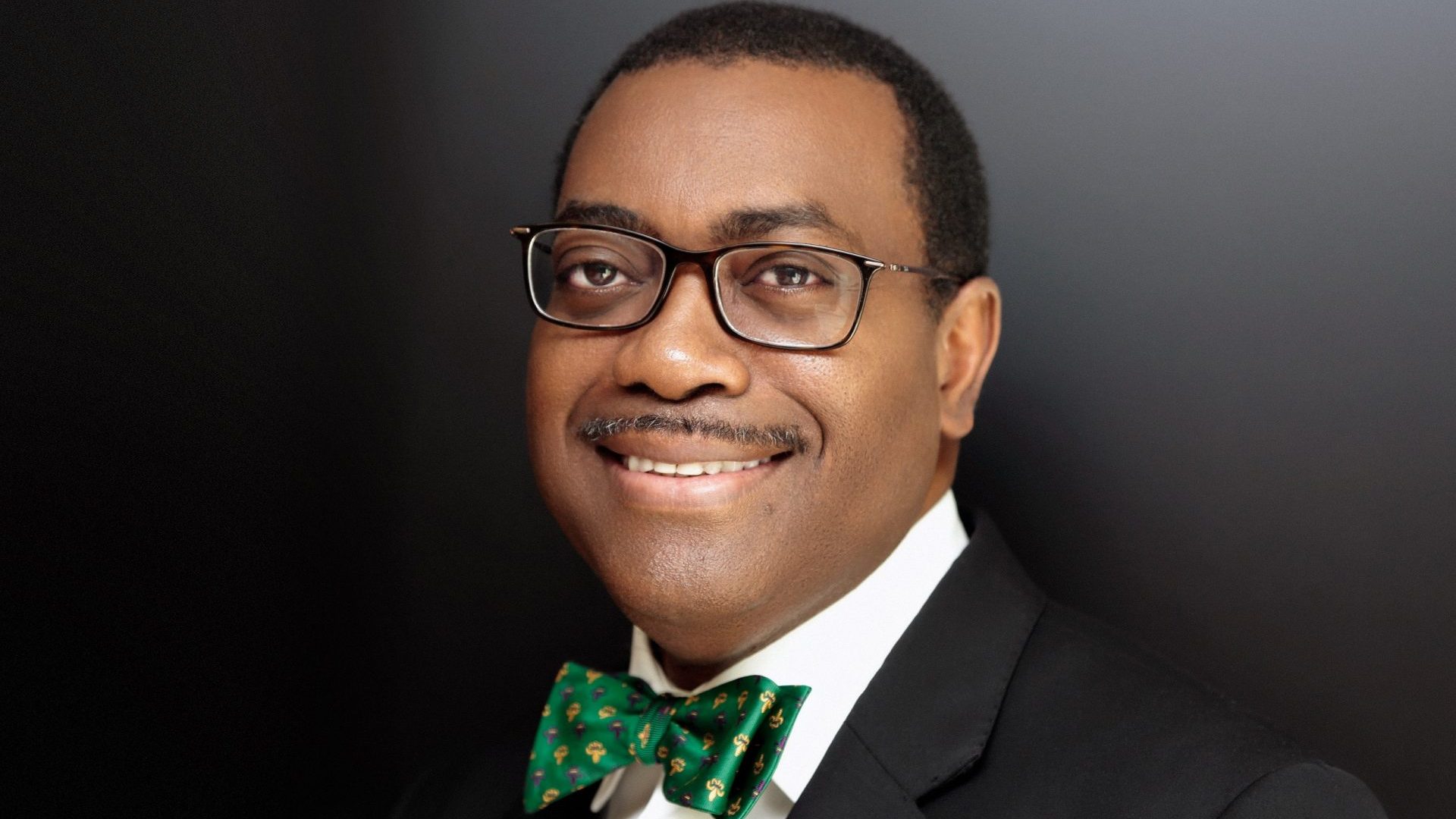 In Defense of a Pan-Africanist – Dr Akinwumi Adesina