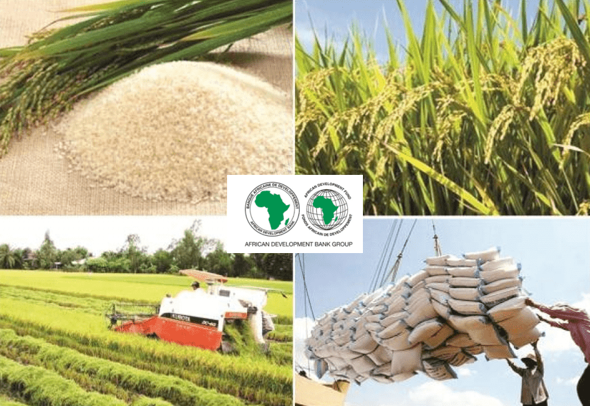 The African Development Bank enhances food security for nine million people
