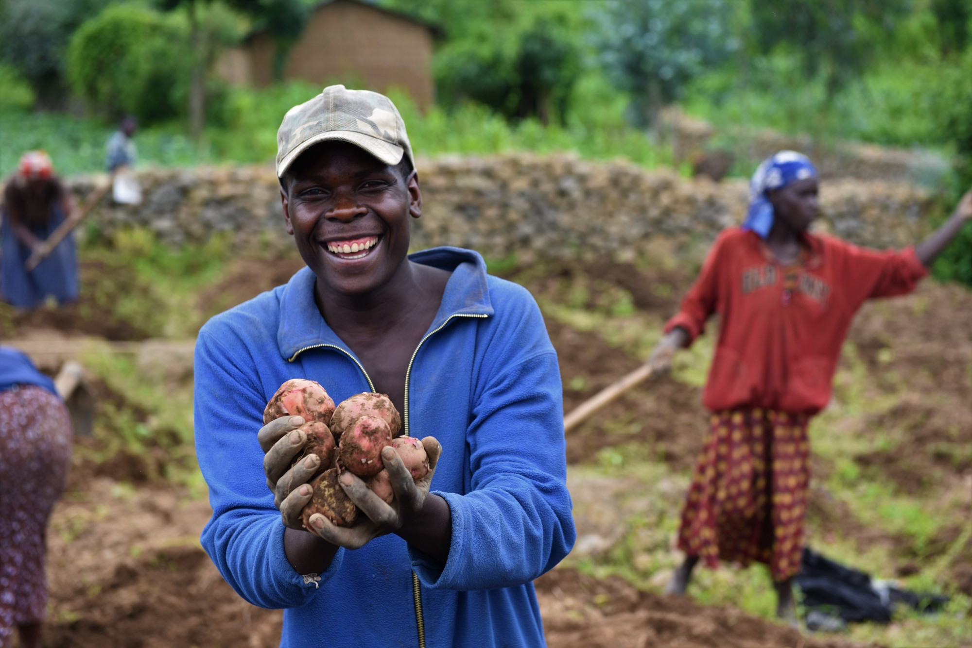 Kenya Invents Modern Way of Farming Cassava