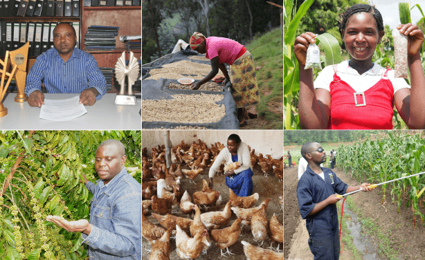 Incentivizing Agribusiness in Africa: Revealing A Growing Market Opportunity
