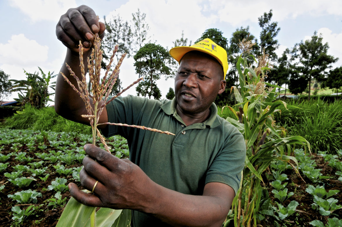 Kenyan Farmers to Receive a Boost as aWhere Partners with the Kenyan Government to Empower them with Weather Services