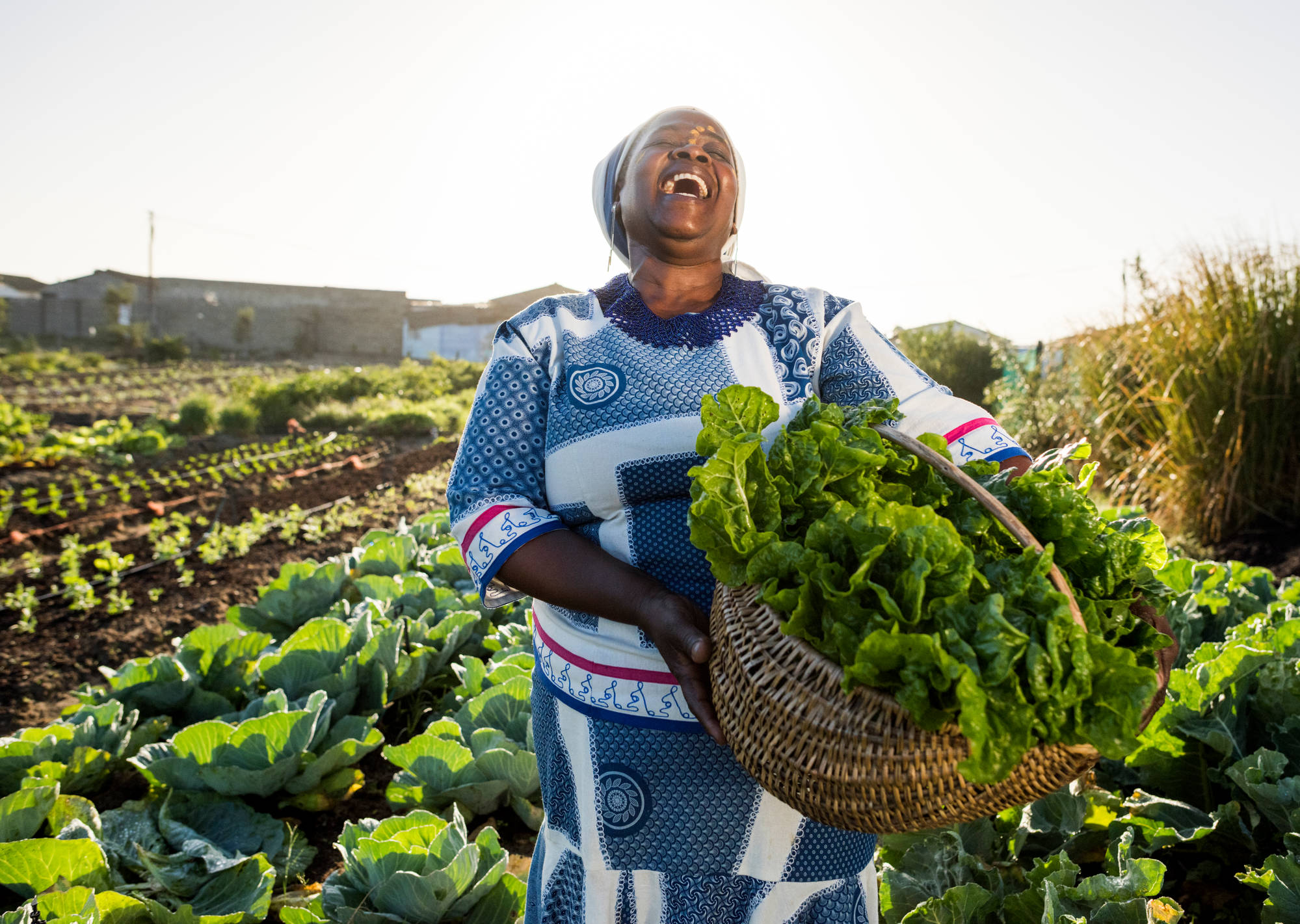 Africa: Researchers Call for Gender-Friendly Crop Varieties to Aid Food Security