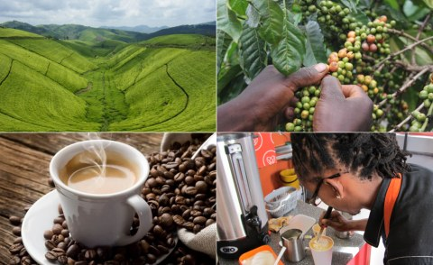 Coffee Farmers in Tanzania Urged to Comply with International Certification