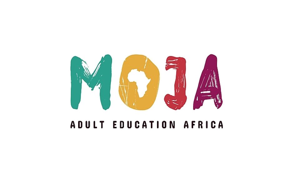 Online Educational Platform Developed for Professional Adult Educators in Africa