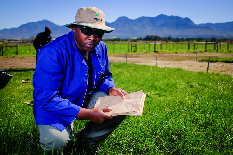 Western Cape Agriculture Department Provides Aid for Farmers