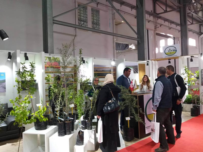 More Than 80 Exhibitors to Attend The 6th Edition OF ‘MED MAG OLIVA’ in Tunisia