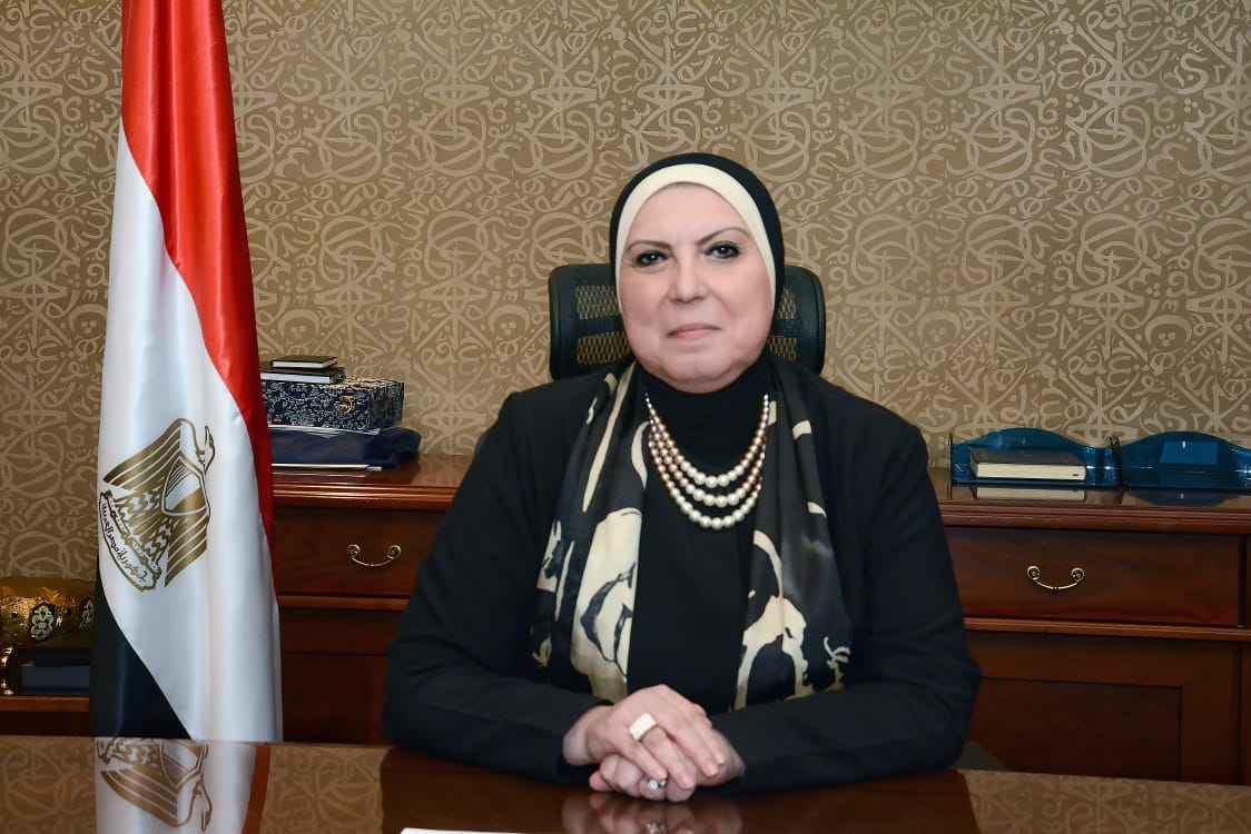 Egypt Keen on Close Cooperation With UN To Provide Technical Support For MSMEs ¬- Nevine Gamea