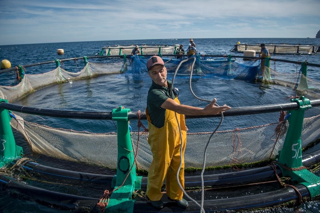Morocco, EU pool efforts to boost aquaculture