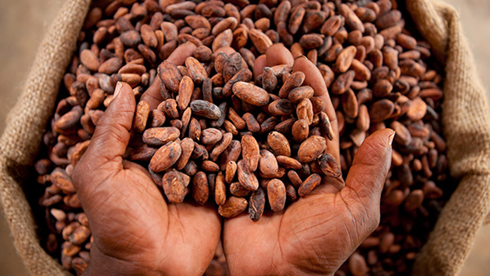 Sustaining the growth of Ghana’s Cocoa Industry