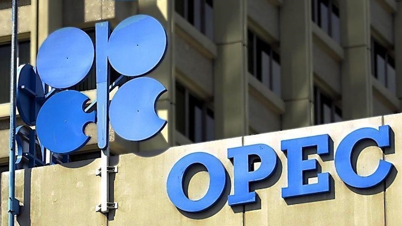 OPEC to Fund Feasibility Study of $25bn Nigeria-Morocco Gas Pipeline